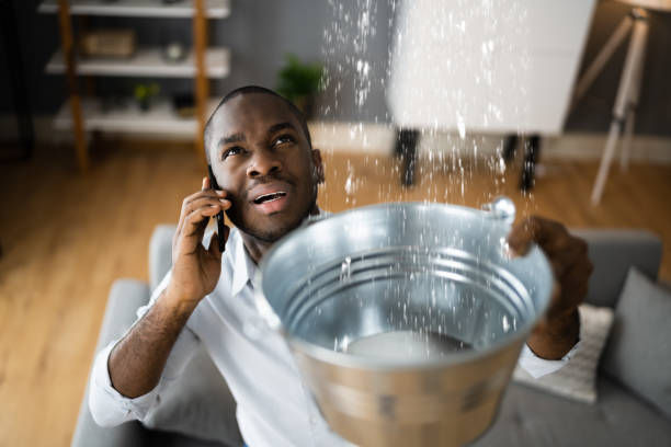 Best Local water damage restoration  in Northwest Harborcreek, PA