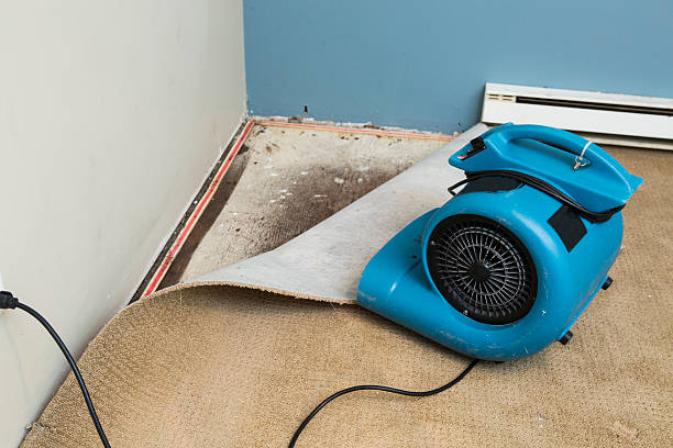Best Water damage contractors near me  in Northwest Harborcreek, PA